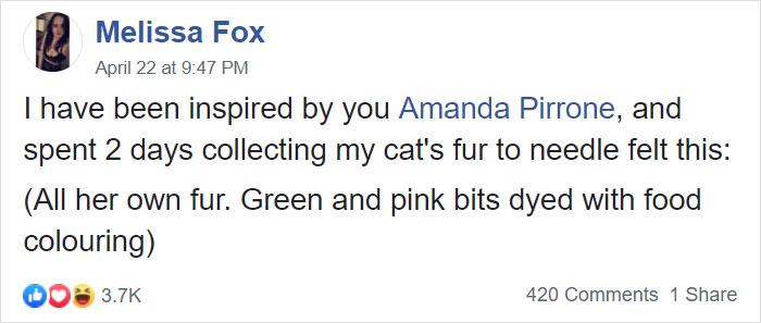 Woman Makes &#8216;A Cat Out Of Her Cat&#8217; By Using Cat&#8217;s Hair And The Result Inspires Others To Do The Same