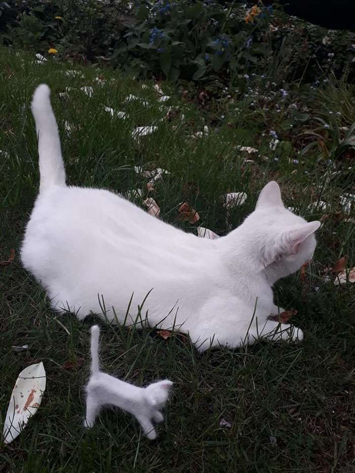 Woman Makes &#8216;A Cat Out Of Her Cat&#8217; By Using Cat&#8217;s Hair And The Result Inspires Others To Do The Same