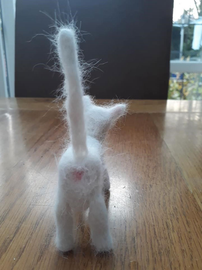 Woman Makes &#8216;A Cat Out Of Her Cat&#8217; By Using Cat&#8217;s Hair And The Result Inspires Others To Do The Same