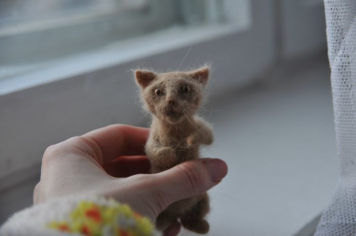 Woman Makes &#8216;A Cat Out Of Her Cat&#8217; By Using Cat&#8217;s Hair And The Result Inspires Others To Do The Same