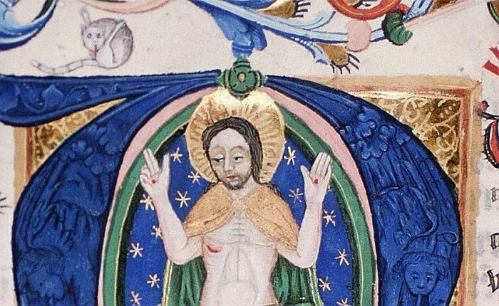 Apparently Medieval People Found Cats Licking Their Butts Fascinating And Here Are 14 Pics As Proof