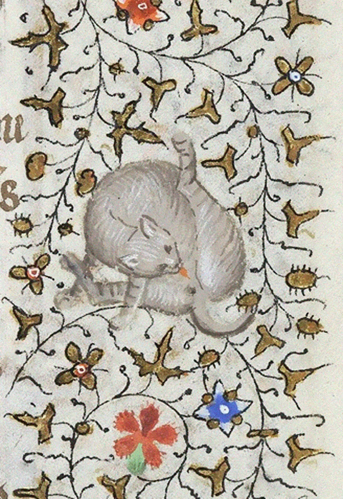 Apparently Medieval People Found Cats Licking Their Butts Fascinating And Here Are 14 Pics As Proof