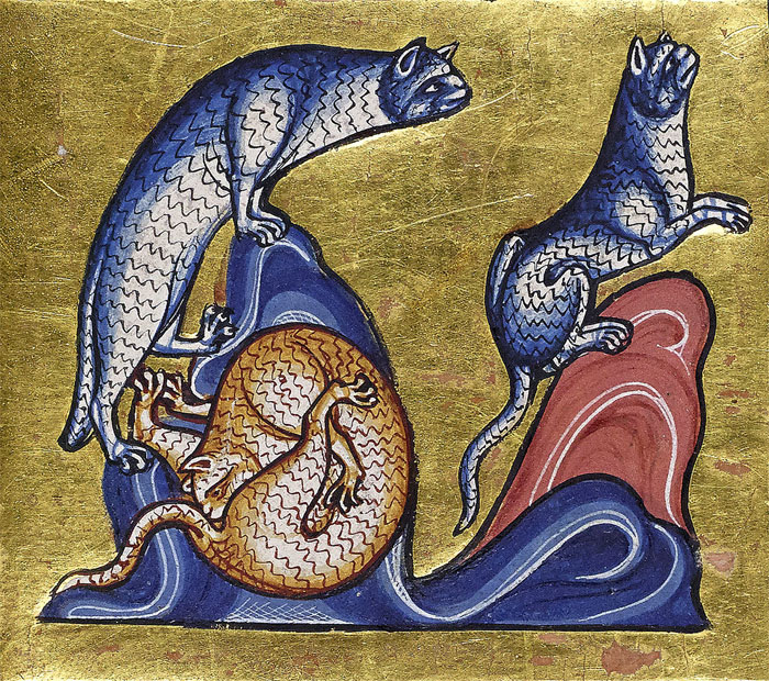 Apparently Medieval People Found Cats Licking Their Butts Fascinating And Here Are 14 Pics As Proof