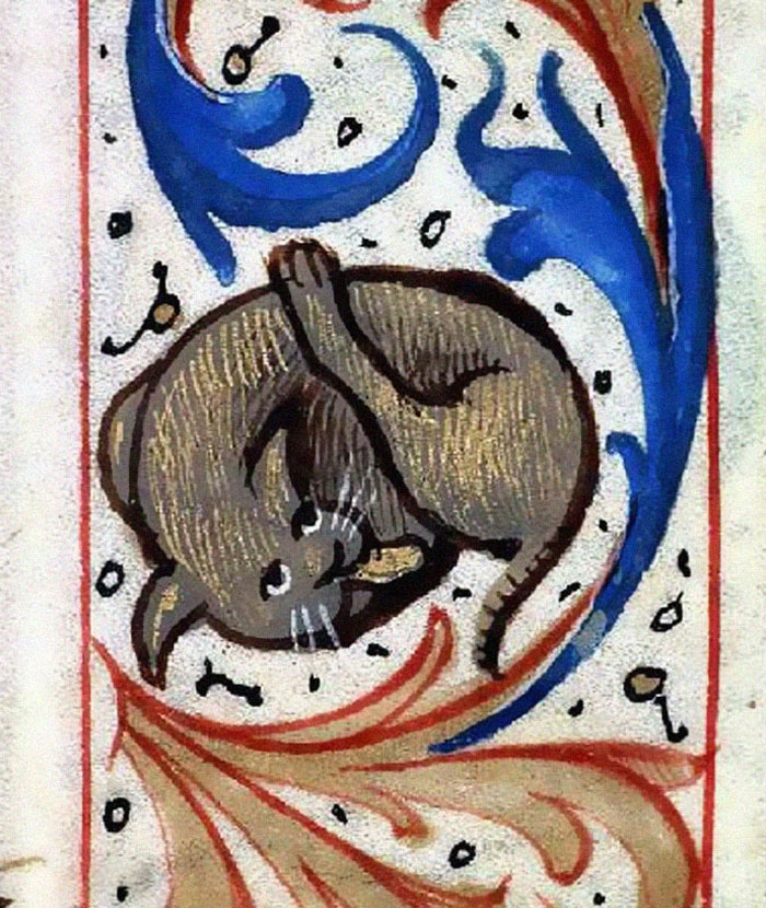 Apparently Medieval People Found Cats Licking Their Butts Fascinating And Here Are 14 Pics As Proof