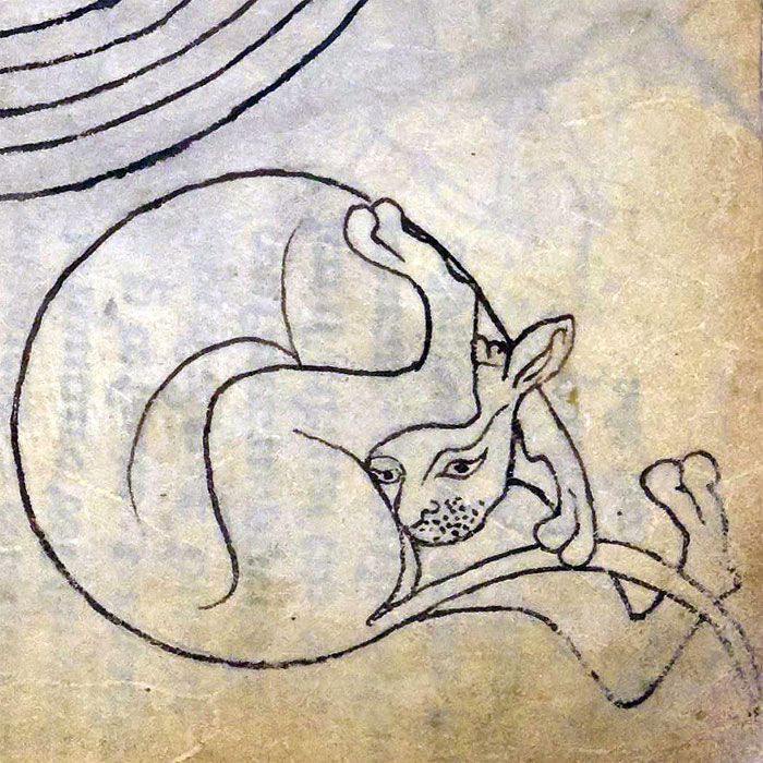 Apparently Medieval People Found Cats Licking Their Butts Fascinating And Here Are 14 Pics As Proof