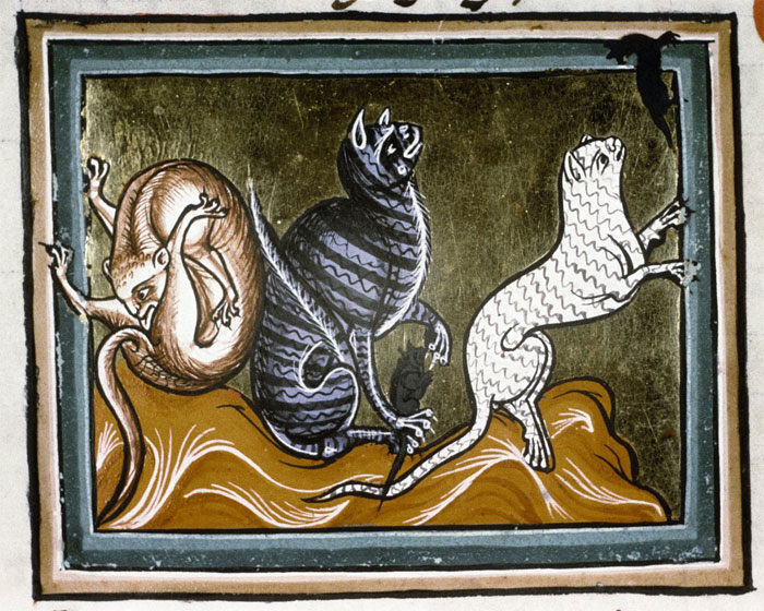 Apparently Medieval People Found Cats Licking Their Butts Fascinating And Here Are 14 Pics As Proof