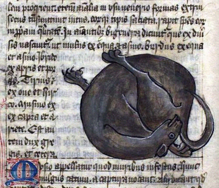 Apparently Medieval People Found Cats Licking Their Butts Fascinating And Here Are 14 Pics As Proof