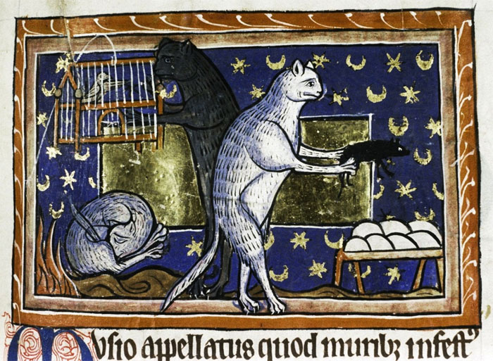 Apparently Medieval People Found Cats Licking Their Butts Fascinating And Here Are 14 Pics As Proof