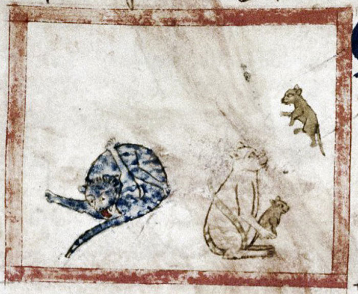 Apparently Medieval People Found Cats Licking Their Butts Fascinating And Here Are 14 Pics As Proof