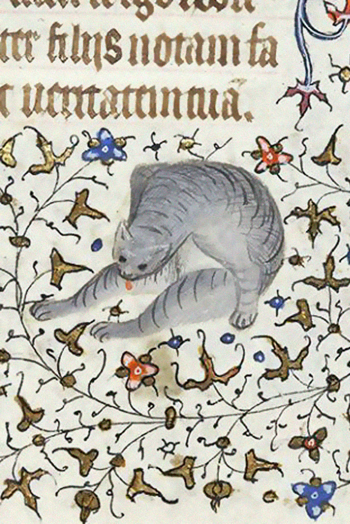 Apparently Medieval People Found Cats Licking Their Butts Fascinating And Here Are 14 Pics As Proof
