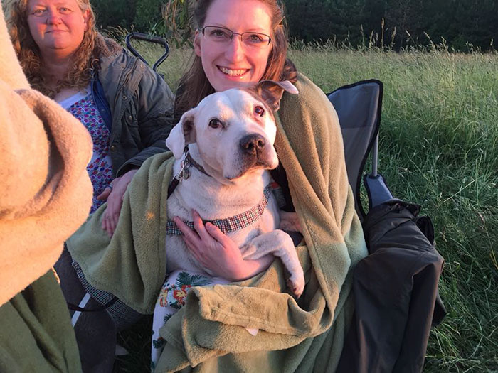 Woman Opens Dog Hospice Where She Spends The Last Days With Abandoned Dogs