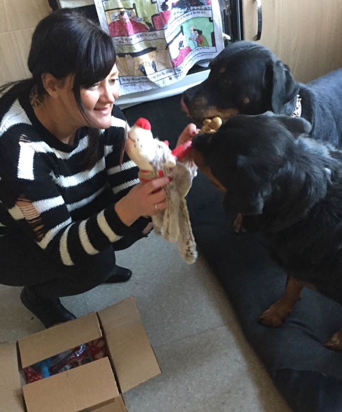 Woman Opens Dog Hospice Where She Spends The Last Days With Abandoned Dogs