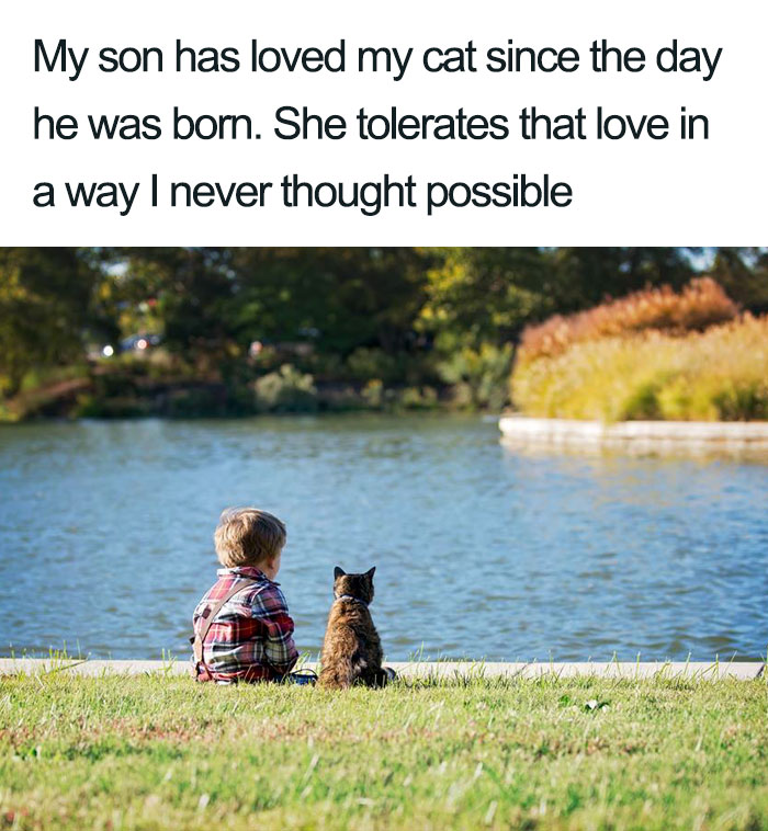 45 Wholesome Cat Posts That Will Hopefully Make Your Day