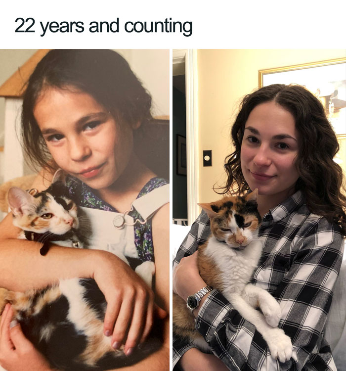 45 Wholesome Cat Posts That Will Hopefully Make Your Day
