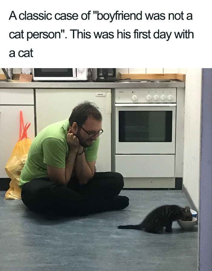 45 Wholesome Cat Posts That Will Hopefully Make Your Day