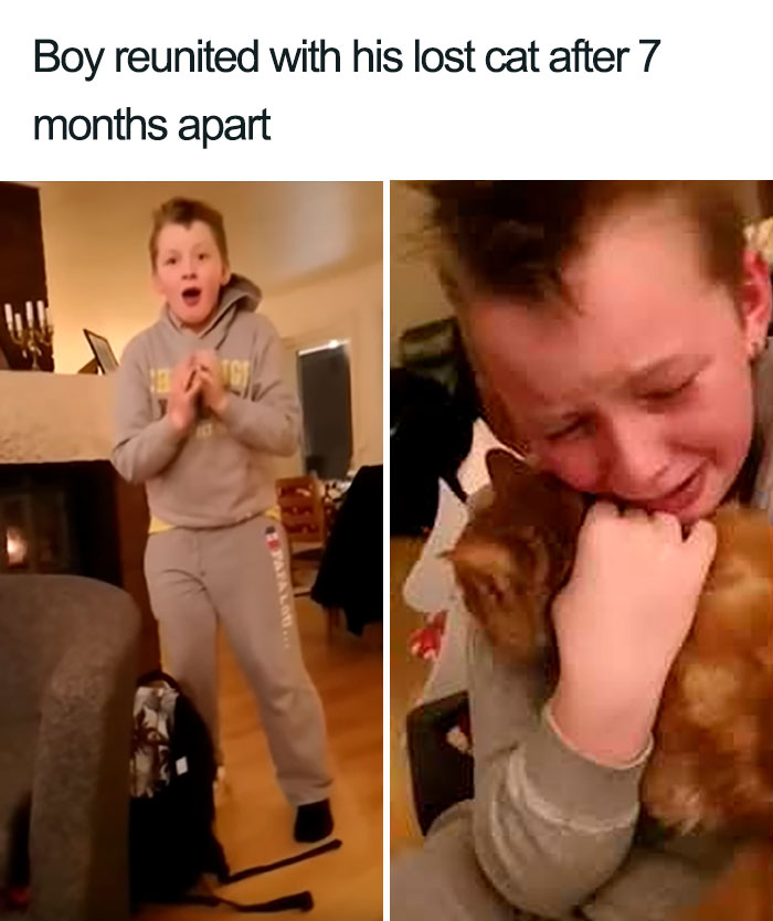 45 Wholesome Cat Posts That Will Hopefully Make Your Day