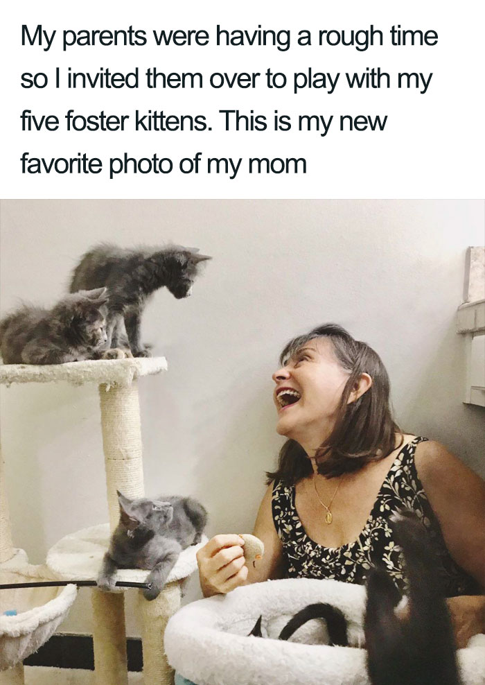 45 Wholesome Cat Posts That Will Hopefully Make Your Day