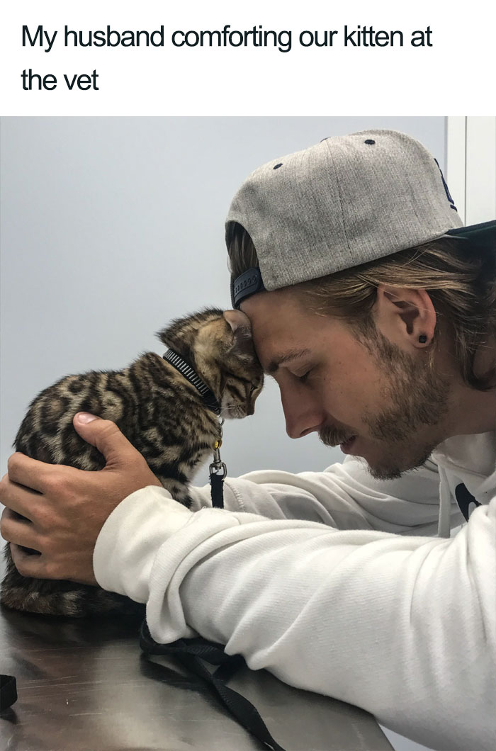 45 Wholesome Cat Posts That Will Hopefully Make Your Day