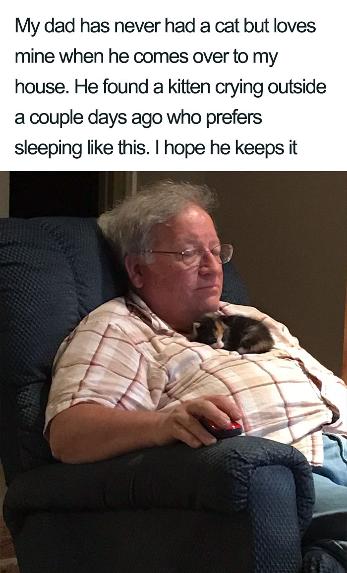 45 Wholesome Cat Posts That Will Hopefully Make Your Day