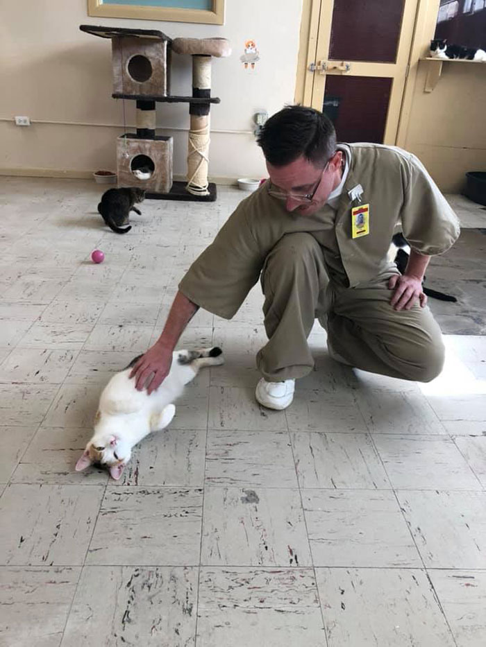 Prison In Indiana Accepts Shelter Cats And They Change Prisoners