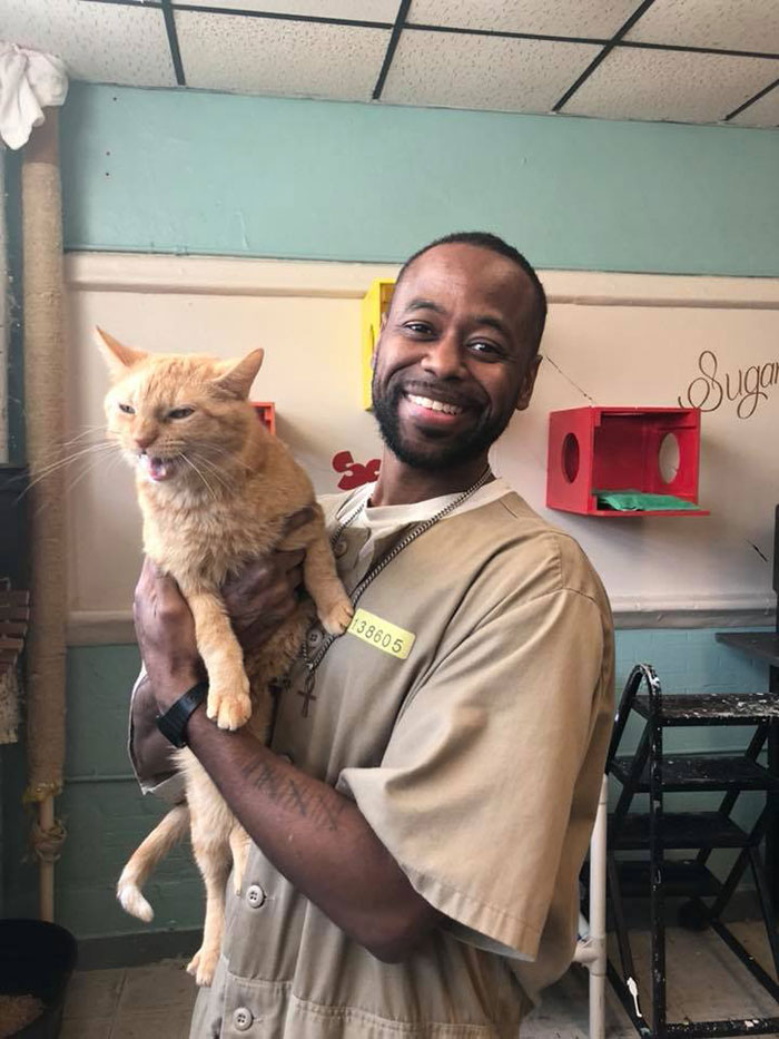 Prison In Indiana Accepts Shelter Cats And They Change Prisoners