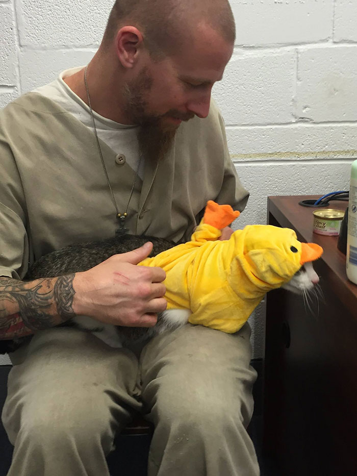 Prison In Indiana Accepts Shelter Cats And They Change Prisoners