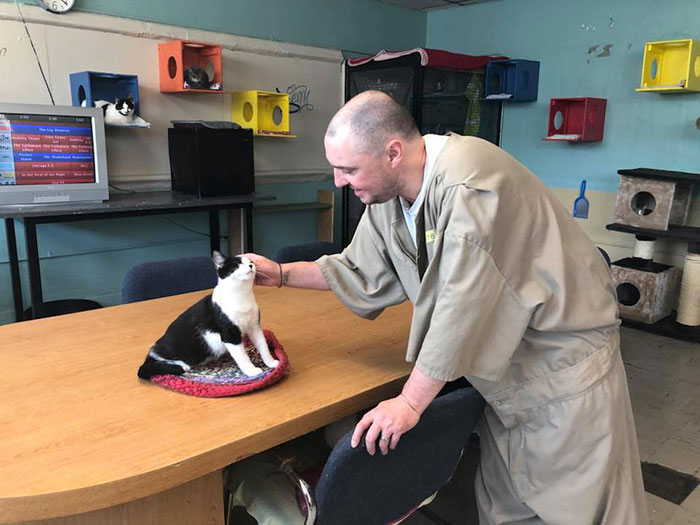 Prison In Indiana Accepts Shelter Cats And They Change Prisoners
