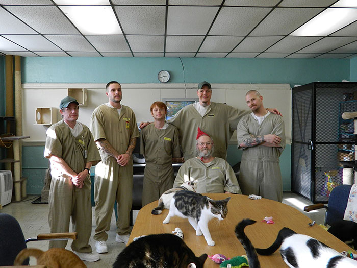 Prison In Indiana Accepts Shelter Cats And They Change Prisoners