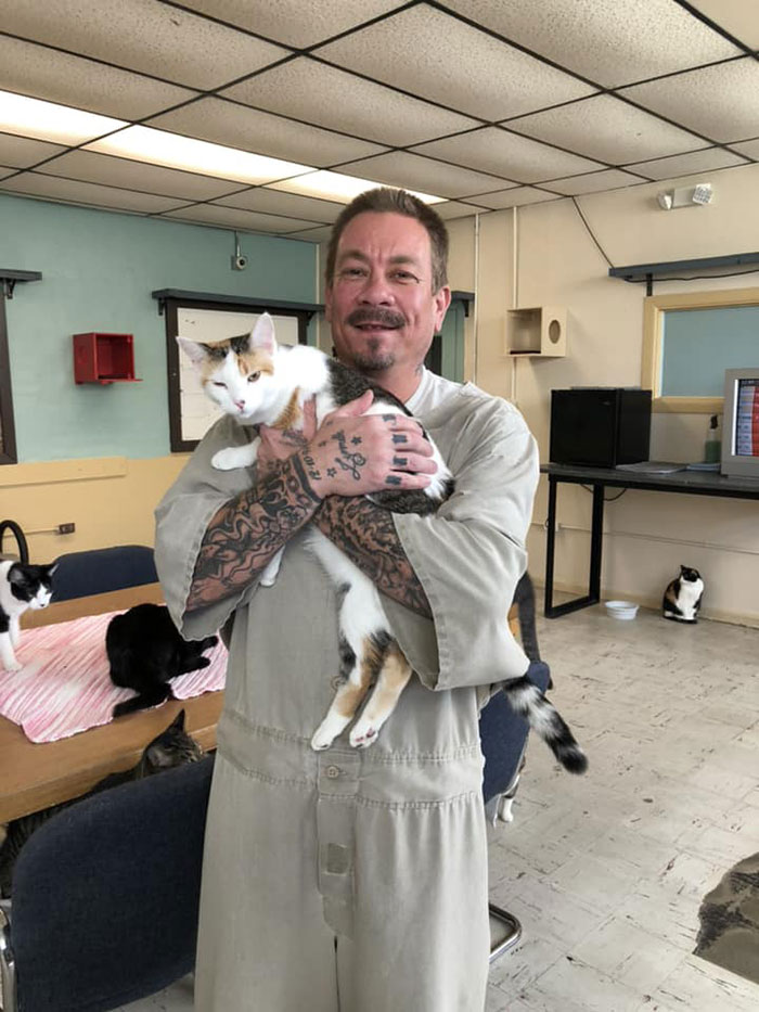 Prison In Indiana Accepts Shelter Cats And They Change Prisoners