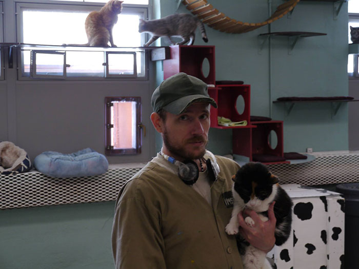 Prison In Indiana Accepts Shelter Cats And They Change Prisoners
