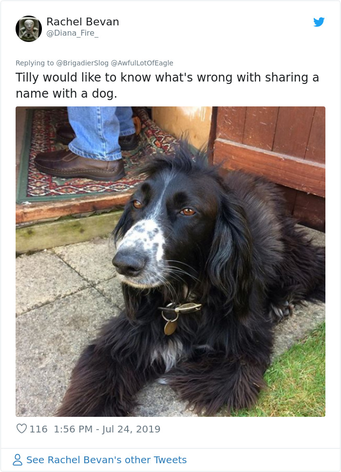 Woman Demands This Dog&#8217;s Name Be Changed Because That&#8217;s How She Wants To Call Her Newborn, Goes Ballistic After Owner Refuses