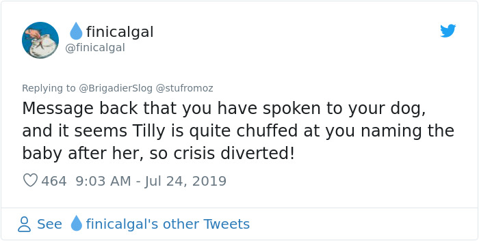 Woman Demands This Dog&#8217;s Name Be Changed Because That&#8217;s How She Wants To Call Her Newborn, Goes Ballistic After Owner Refuses