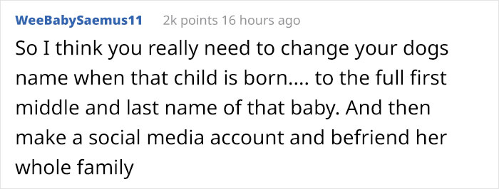 Woman Demands This Dog&#8217;s Name Be Changed Because That&#8217;s How She Wants To Call Her Newborn, Goes Ballistic After Owner Refuses
