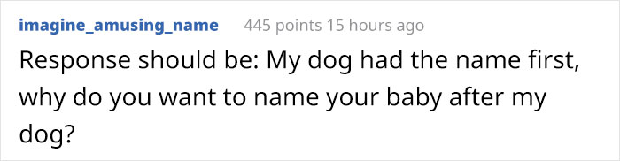Woman Demands This Dog&#8217;s Name Be Changed Because That&#8217;s How She Wants To Call Her Newborn, Goes Ballistic After Owner Refuses