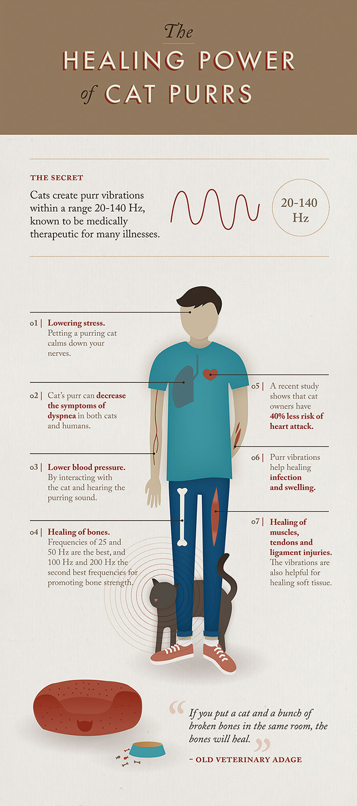 Fascinating Infographic Shows The Ways That A Cat&#8217;s Purr Are Good For You
