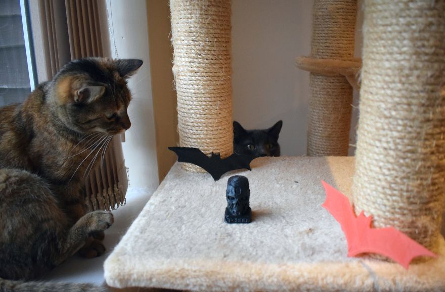 Meowsome Accessories To 3D Print For Your Cat