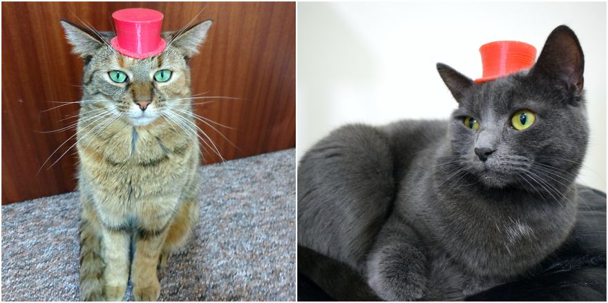 Meowsome Accessories To 3D Print For Your Cat