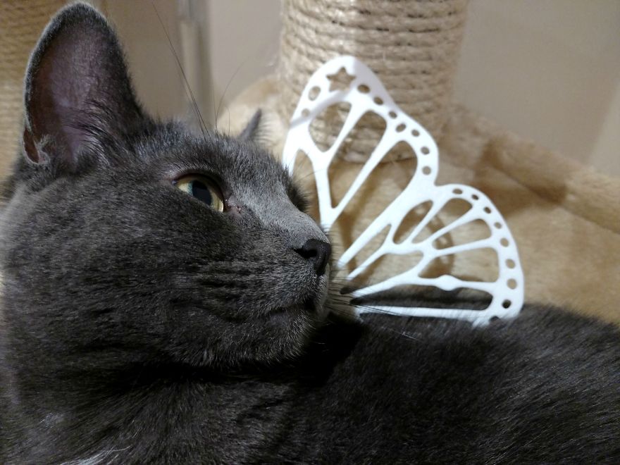 Meowsome Accessories To 3D Print For Your Cat