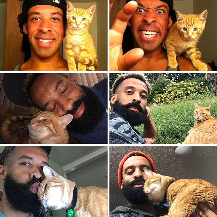 People Are Sharing Before And After Adoption Pictures Of Their Cats And It&#8217;s Heartwarming (35 Pics)