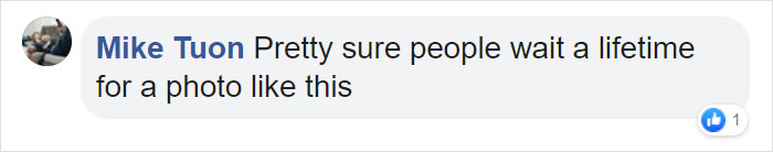 “I Could Wait 6 Years For A Moment Like This”: Wildlife Photographer Waits 6 Days For A Perfect Leopard And A Black Panther Shot “I Could Wait 6 Years For A Moment Like This”: Wildlife Photographer Waits 6 Days For A Perfect Leopard And A Black Panther Shot