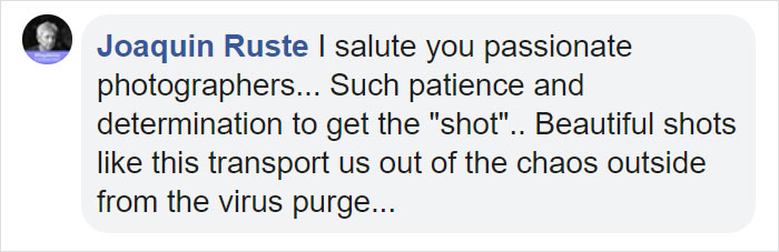 “I Could Wait 6 Years For A Moment Like This”: Wildlife Photographer Waits 6 Days For A Perfect Leopard And A Black Panther Shot “I Could Wait 6 Years For A Moment Like This”: Wildlife Photographer Waits 6 Days For A Perfect Leopard And A Black Panther Shot