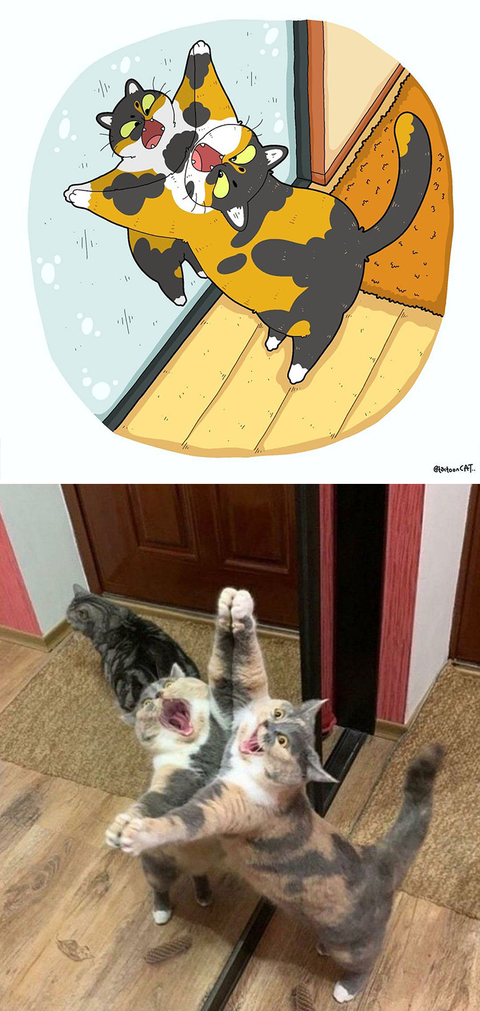 30 Of The Funniest Internet-Famous Cat Pics Get Illustrated By Tactooncat