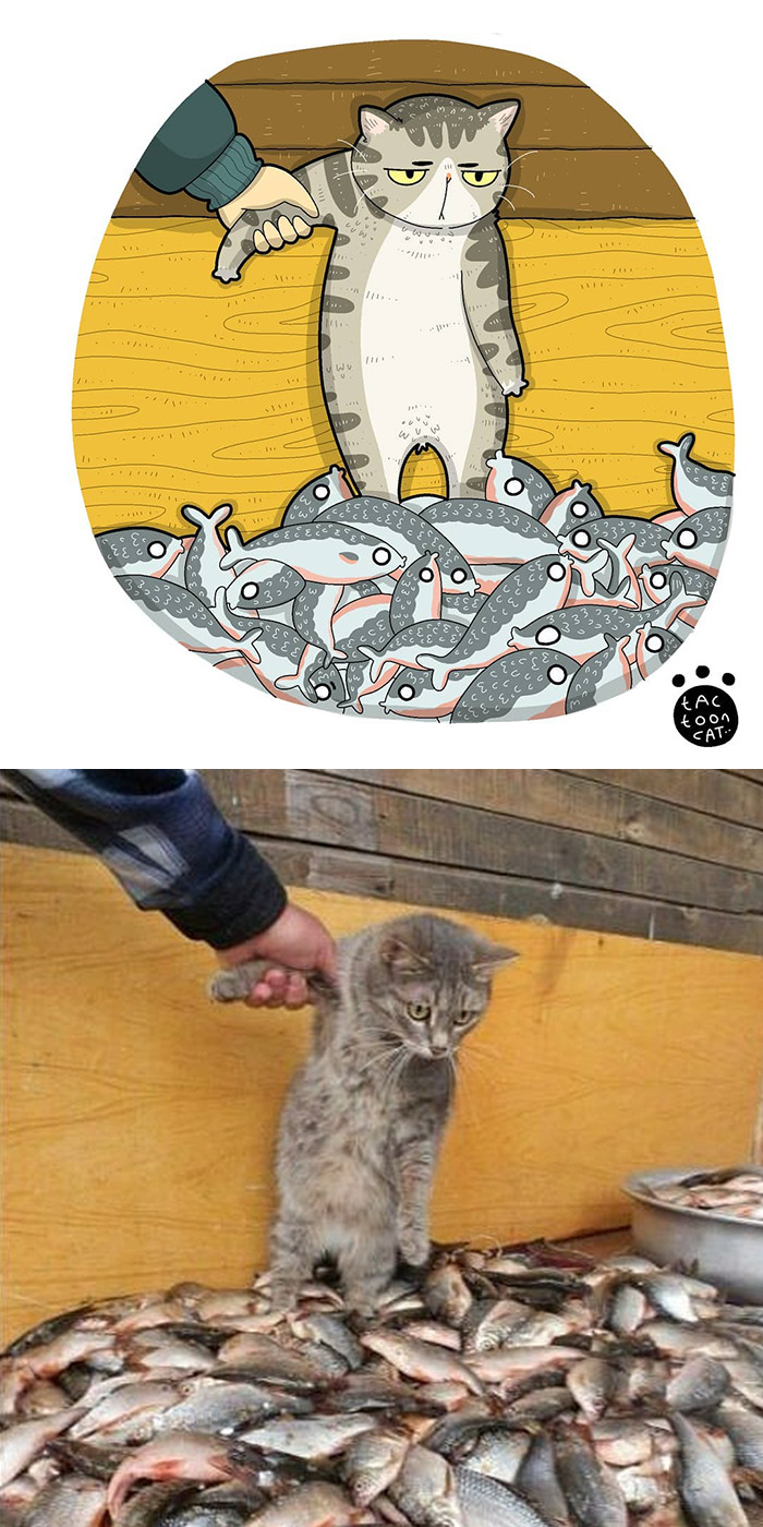 30 Of The Funniest Internet-Famous Cat Pics Get Illustrated By Tactooncat