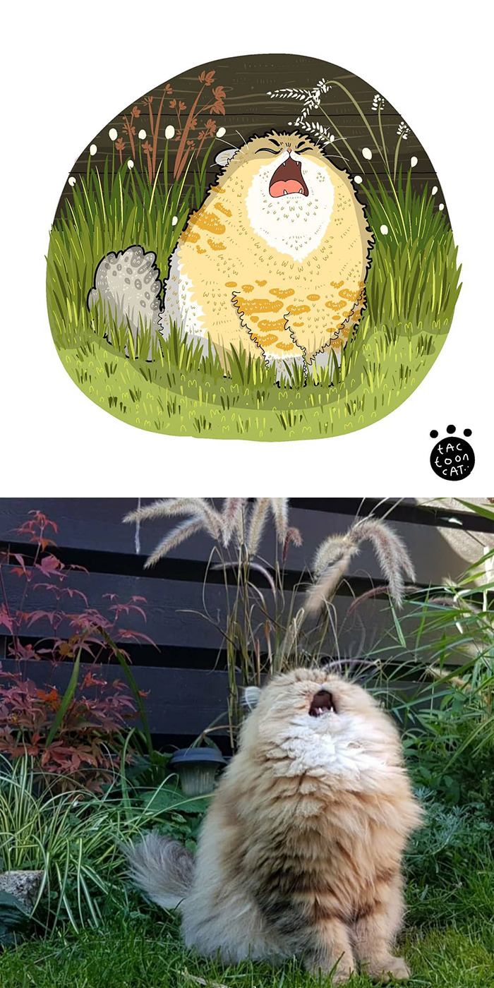 30 Of The Funniest Internet-Famous Cat Pics Get Illustrated By Tactooncat