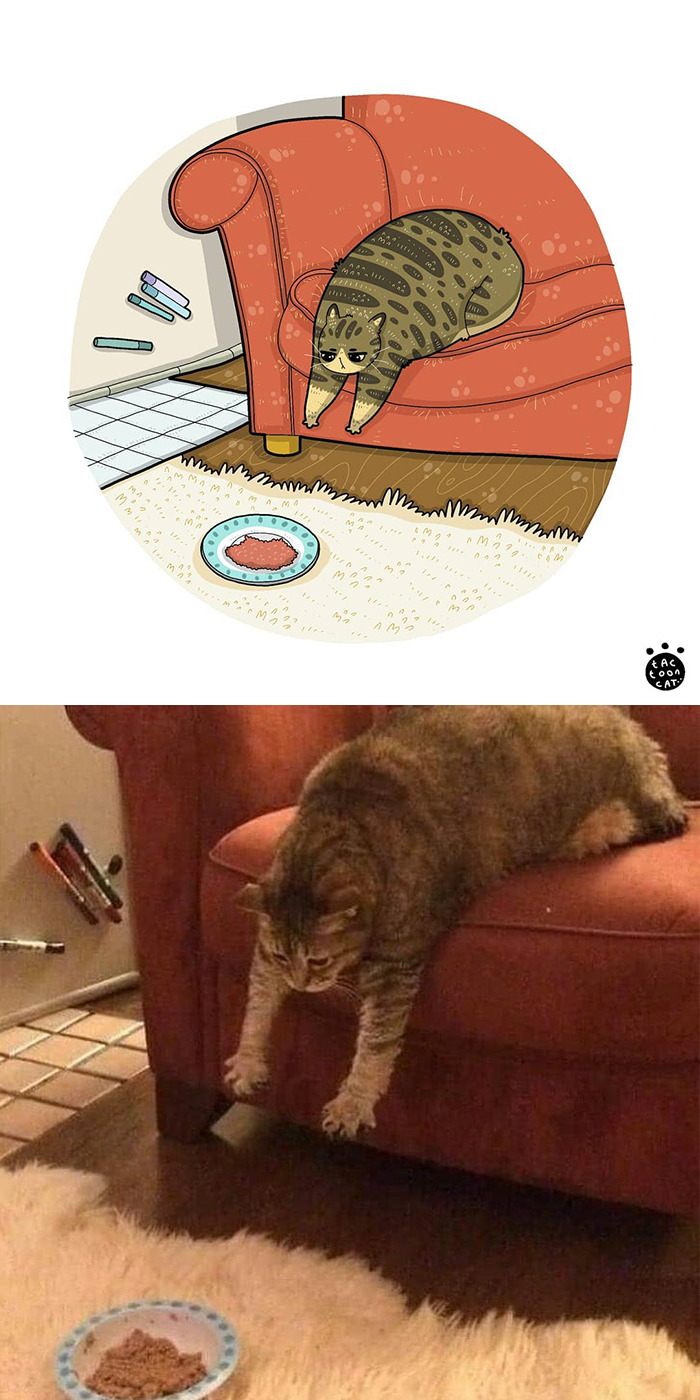 30 Of The Funniest Internet-Famous Cat Pics Get Illustrated By Tactooncat