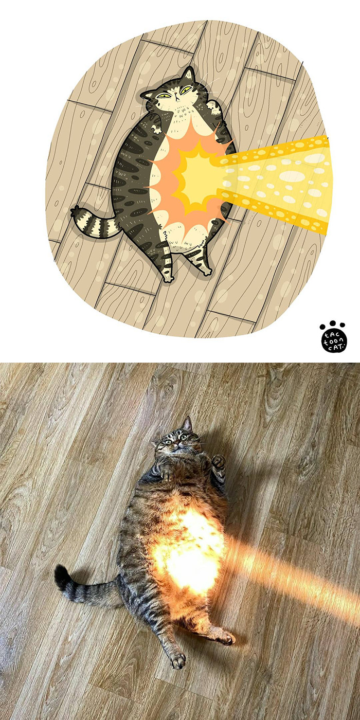 30 Of The Funniest Internet-Famous Cat Pics Get Illustrated By Tactooncat