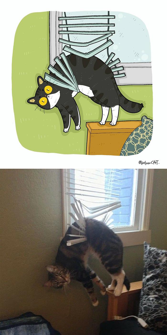 30 Of The Funniest Internet-Famous Cat Pics Get Illustrated By Tactooncat