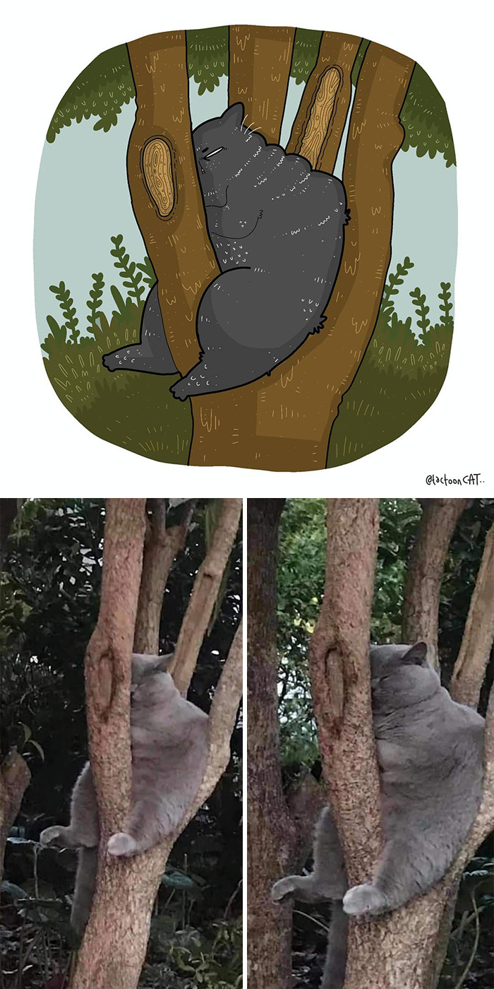 30 Of The Funniest Internet-Famous Cat Pics Get Illustrated By Tactooncat