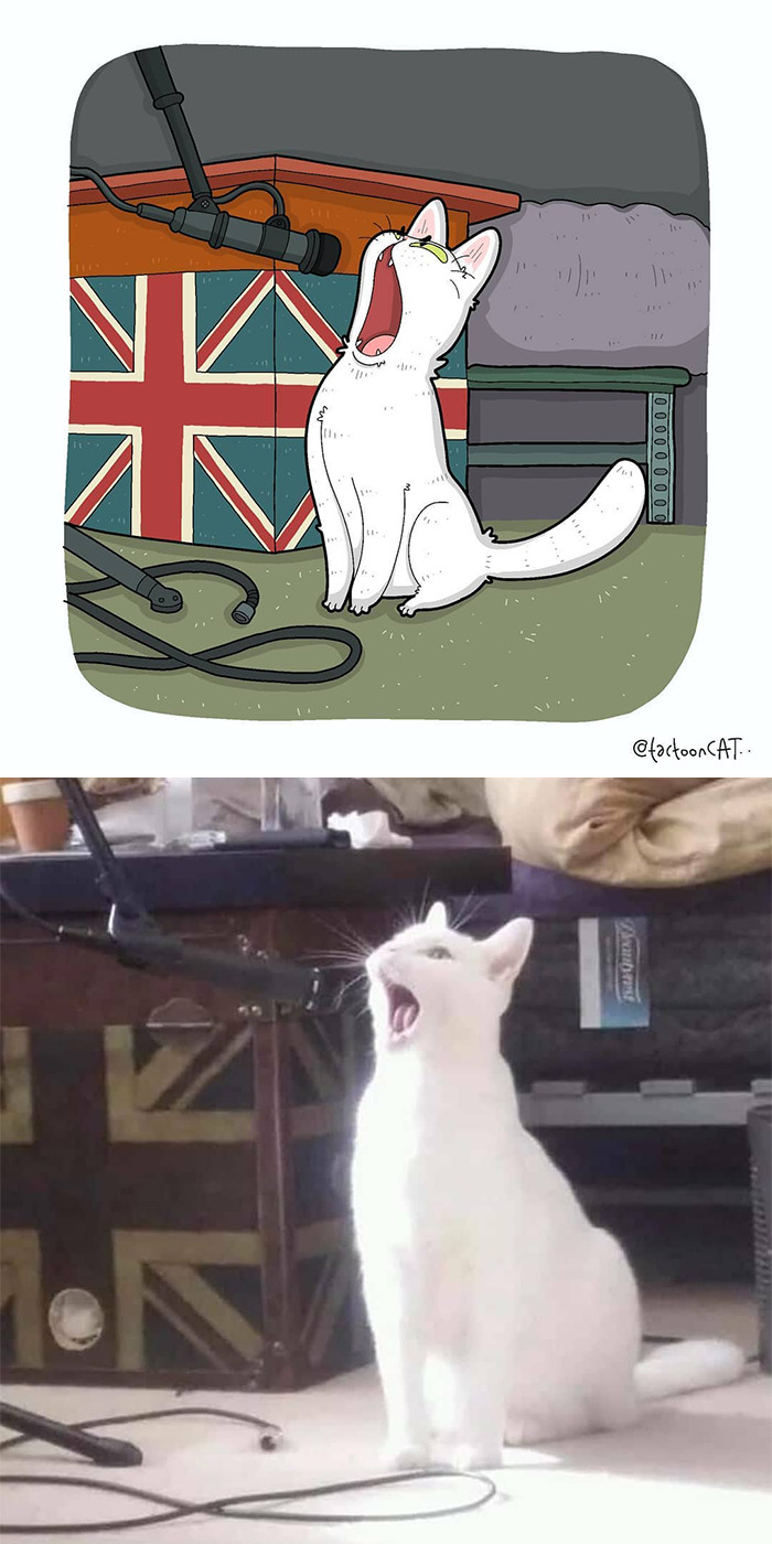 30 Of The Funniest Internet-Famous Cat Pics Get Illustrated By Tactooncat