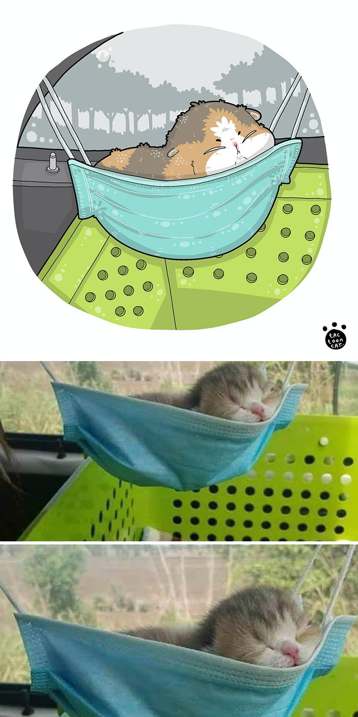 30 Of The Funniest Internet-Famous Cat Pics Get Illustrated By Tactooncat